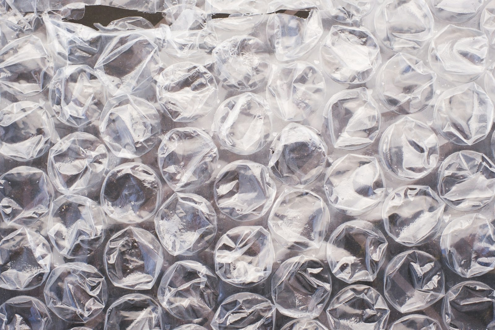 Close-up of a plastic bag filled with bubble wrap