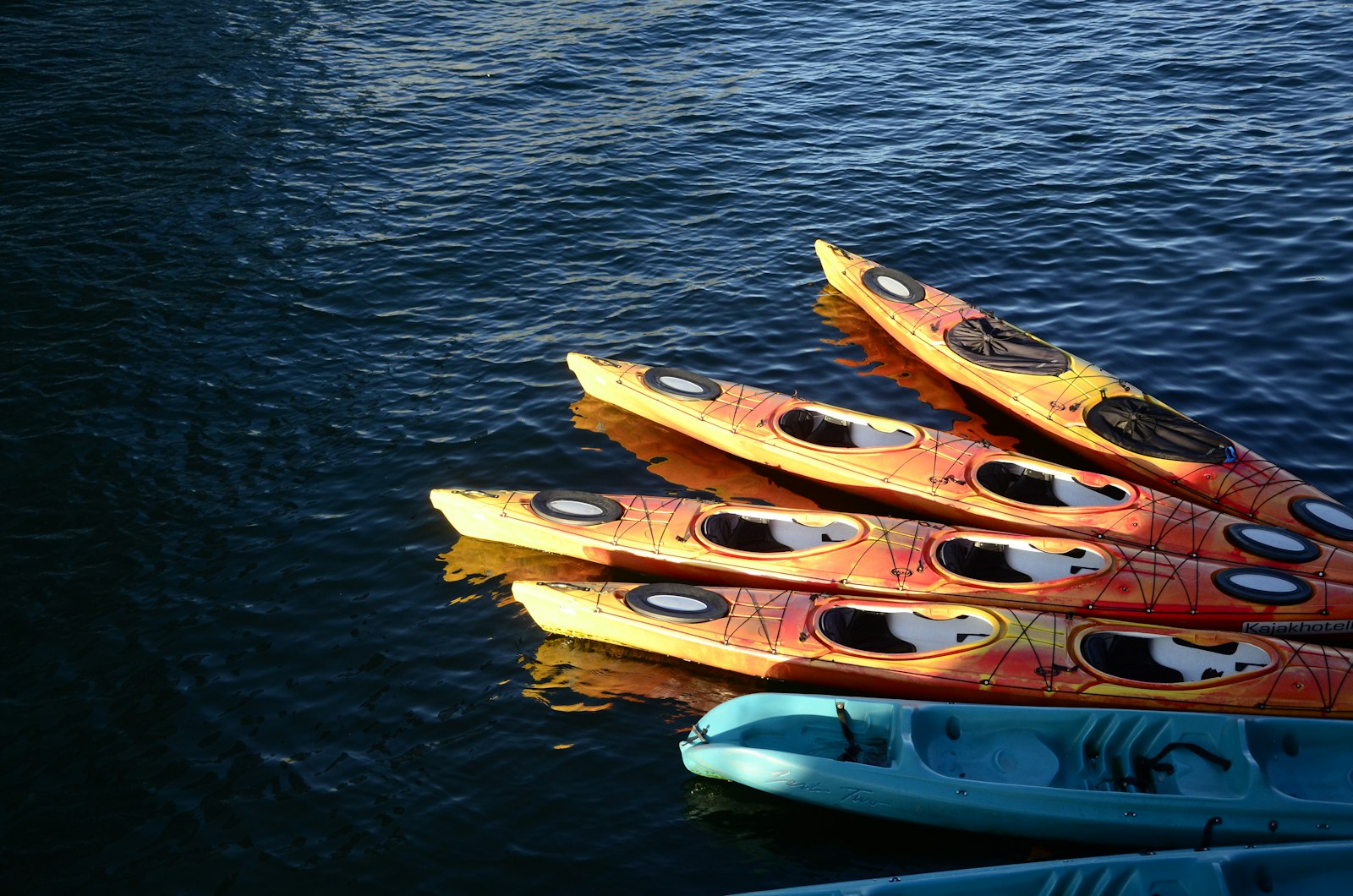 Row of orange kayaks floating on dark water
